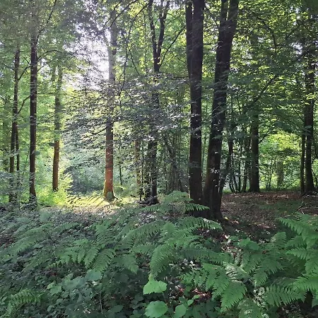 Luxe Vakantie Huis Met Sauna, 8Pers, 3 Badkamers Holiday home