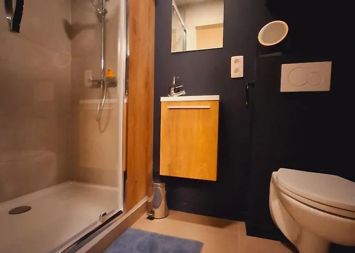 Luxe Met Sauna, 8pers, 3 Badkamers Vakantiehuis